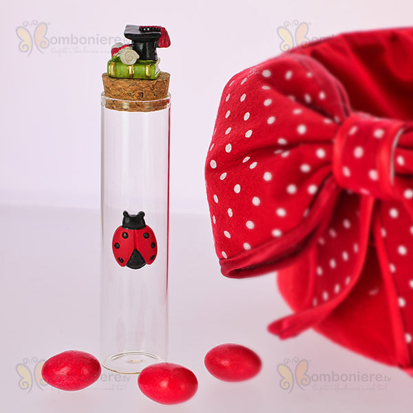 Bomboniera tubo porta confetti con tocco e coccinella