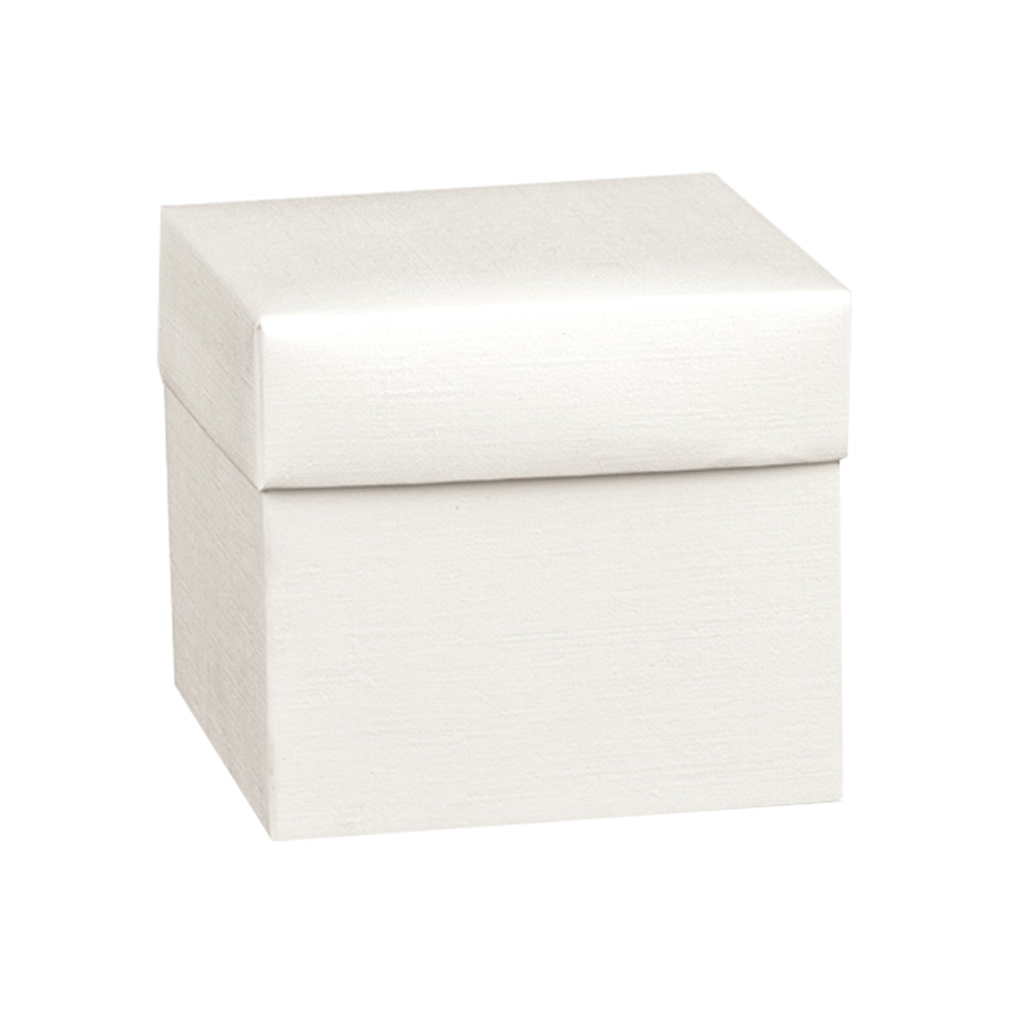 Set 10 svuotatasche pala fico d'india bianco complete di confezionamento
