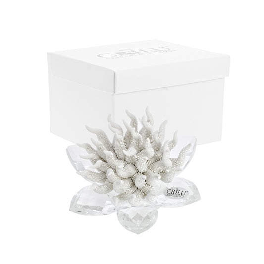 Bomboniera Crilù corallo gocce di rugiada bianco