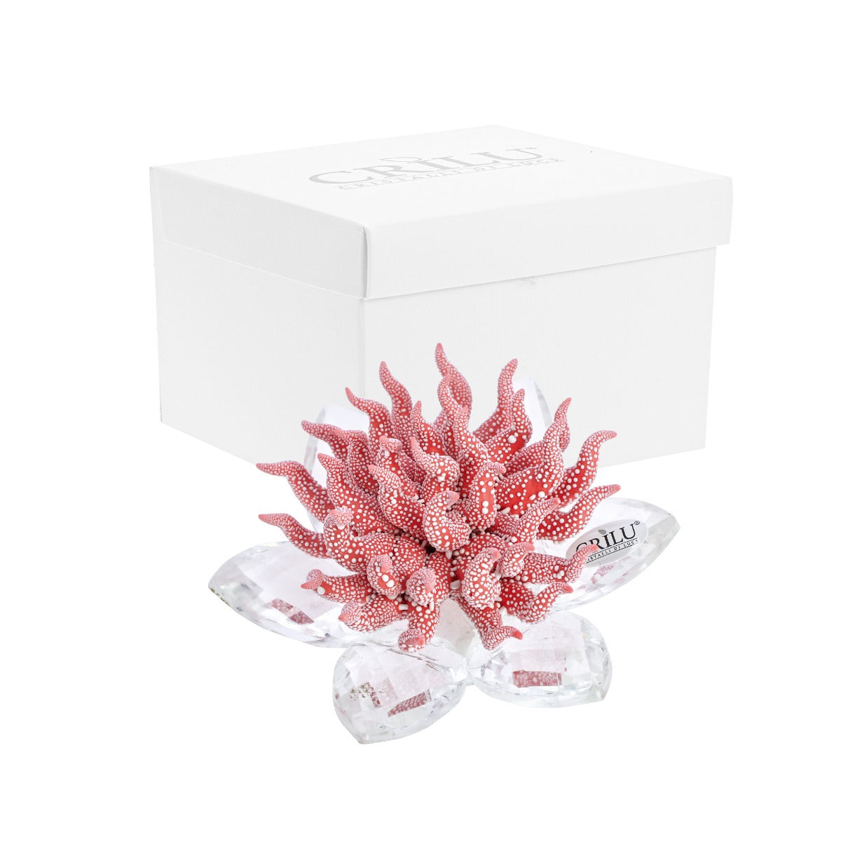 Bomboniera Crilù corallo gocce di rugiada rosso