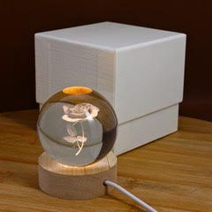 Luce notturna sfera led con rosa 3D