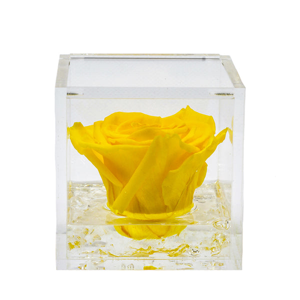 Flowercube rosa gialla con cubo plex 6 x 6