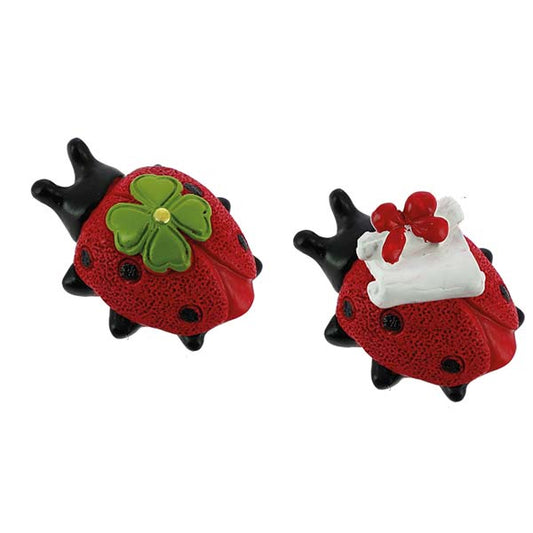 Accessorio coccinella con quadrifoglio e pergamena