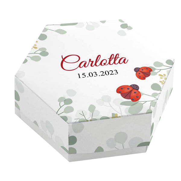 Set 20 astuccio esagonale personalizzati laurea con coccinelle completi di confetti