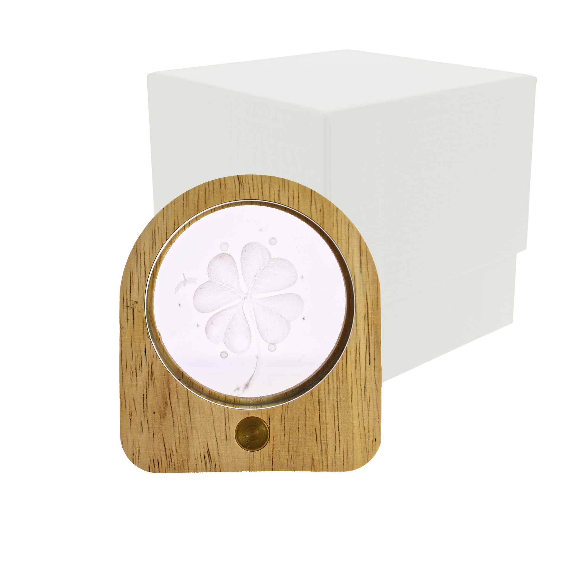 Luce notturna ovale led con quadrifoglio 3D