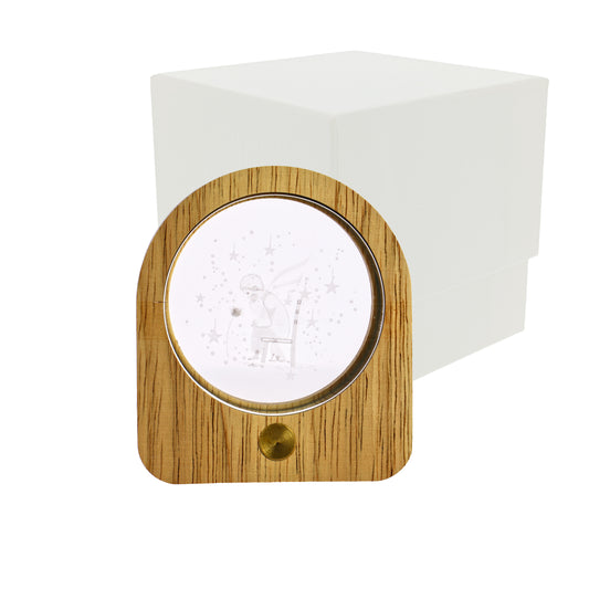 Luce notturna ovale led con bimbo con rosa 3D