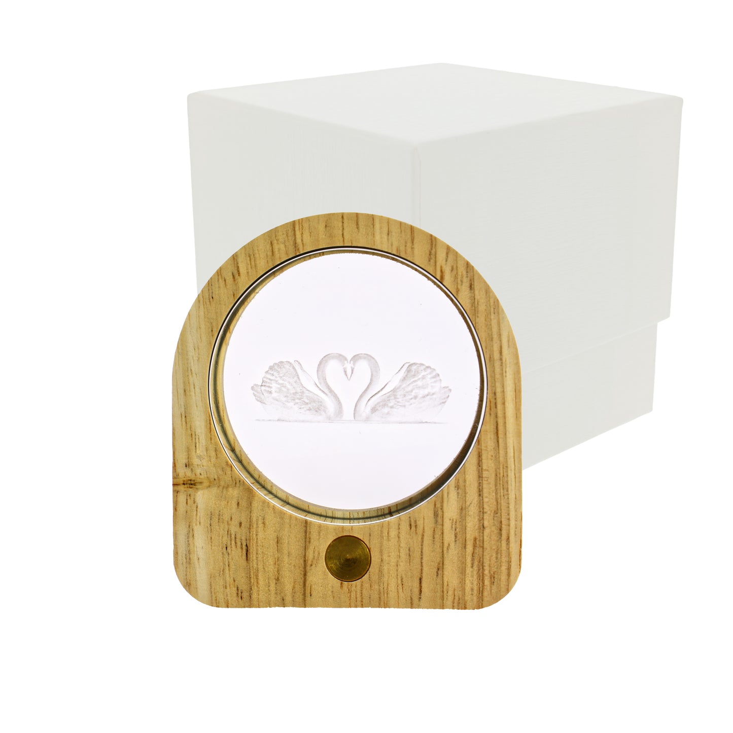 Luce notturna ovale led con cigni 3D