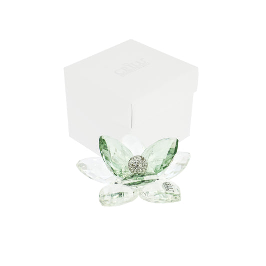 Bomboniera Crilù fior di loto verde salvia