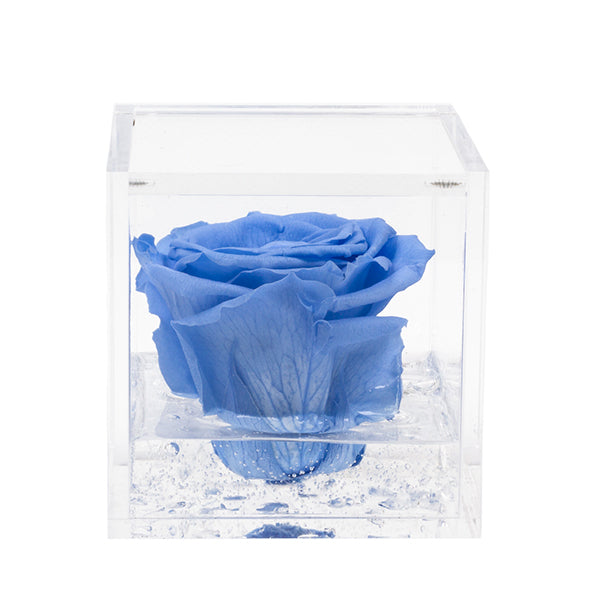 Flowercube rosa cielo con cubo plex 6 x 6