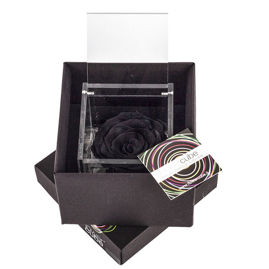 Flowercube rosa nera con cubo plex 6 x 6