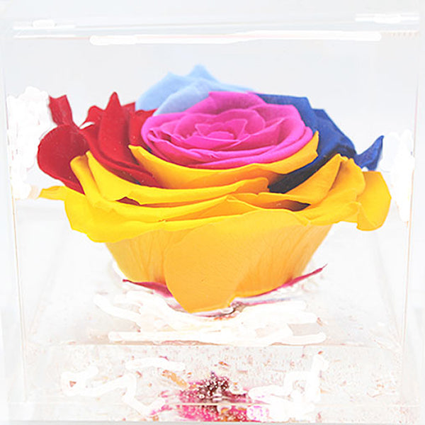 Flowercube special edition rosa rainbow con cubo plex 6 x 6