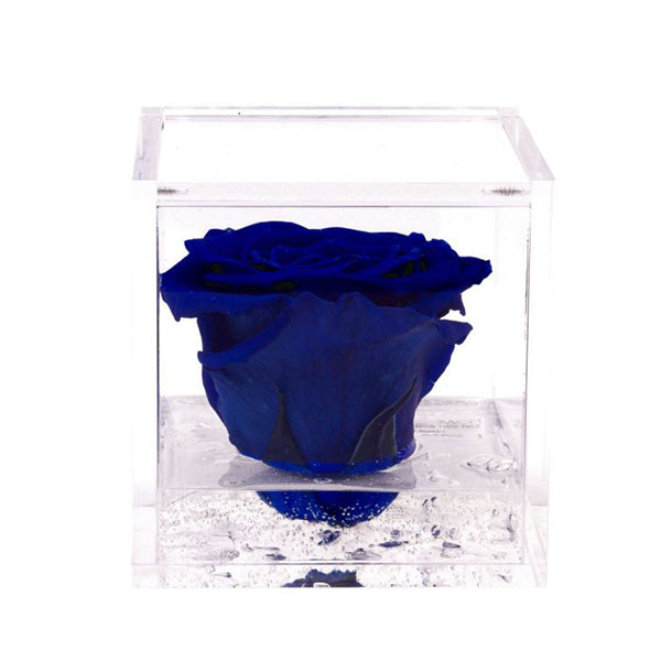 Flowercube rosa blu con cubo plex 6 x 6