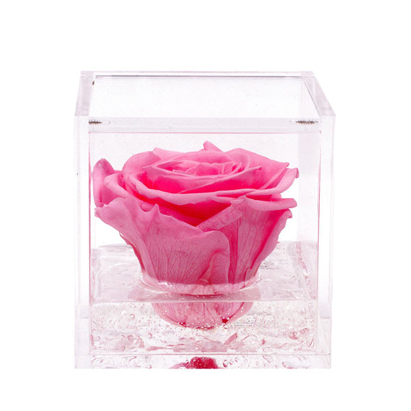 Flowercube rosa rosa con cubo plex 8 x 8